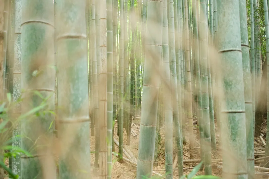 宜宾悦慧企业管理：中小企业工商注册与财税代理服务流程详解