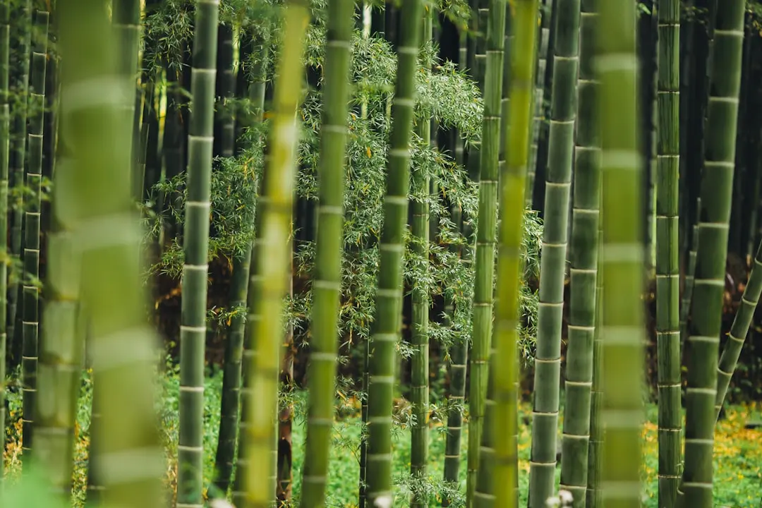 宜宾企业管理咨询服务如何助力中小企业规范运营管理