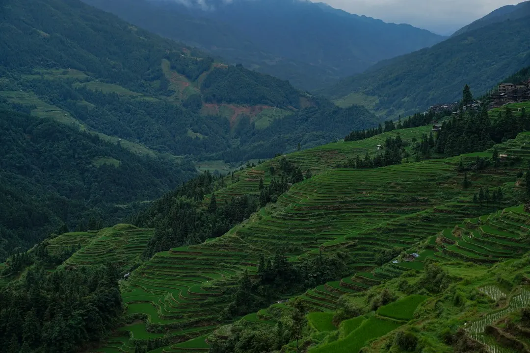 宜宾企业管理咨询助力创业团队高效完成工商注册流程